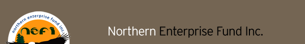 Northern Enterprise Fund Inc